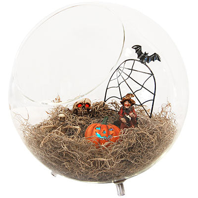 BestNest "Scare"arium Halloween Terrarium Kit