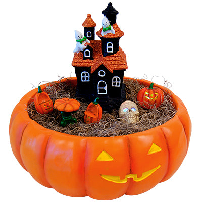 BestNest Happy Halloween Fairy Garden Package