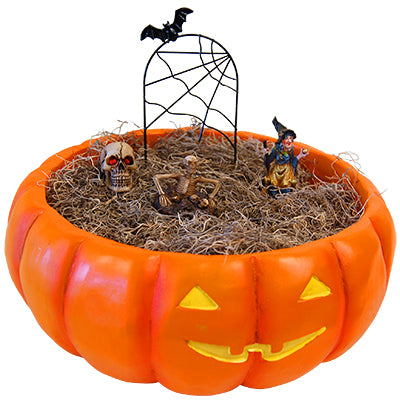 BestNest Spooky Halloween Fairy Garden Package