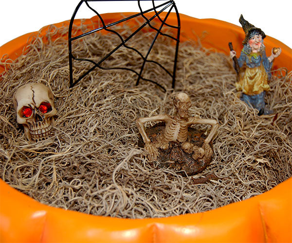 BestNest Spooky Halloween Fairy Garden Package