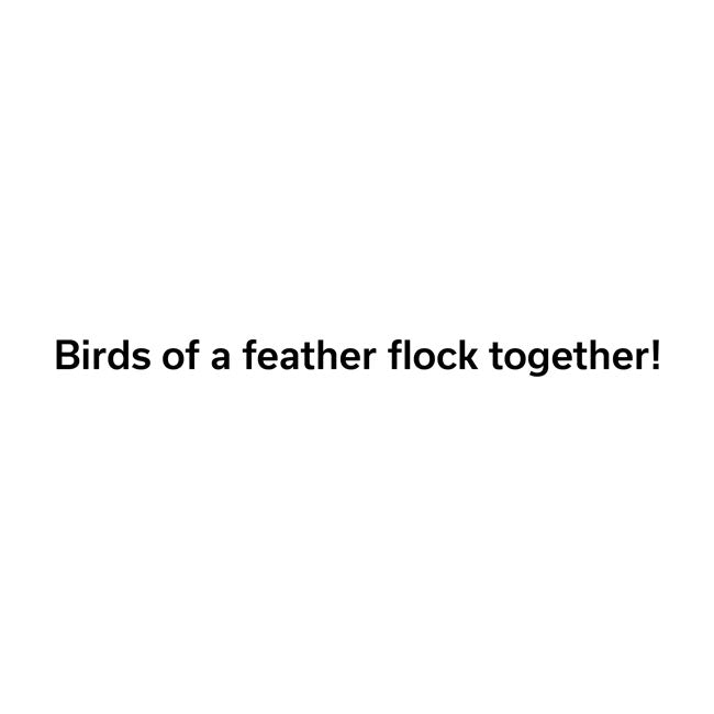 "Birds of a Feather" Greeting Card by Prime Retreat