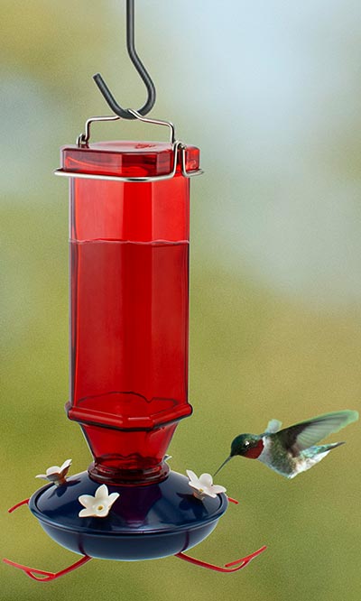 Woodlink Patriotic Vintage Glass Hummingbird Feeder, 16 oz.